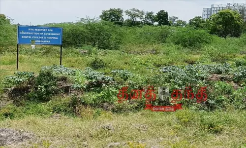 விருதுநகரில் பல் மருத்துவக்கல்லூரி தொடங்கப்படுமா? விருதுநகரில் பல் மருத்துவக்கல்லூரி தொடங்கப்படுமா?