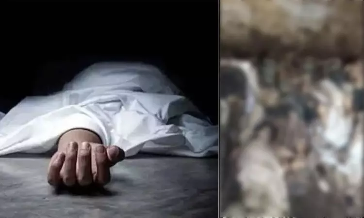 ஈராக்: பாக்தாத்தில் கால்பந்து மைதானம் அருகே குண்டுவெடிப்பு - 10 வீரர்கள் பரிதாபமாக உயிரிழப்பு! ஈராக்: பாக்தாத்தில் கால்பந்து மைதானம் அருகே குண்டுவெடிப்பு - 10 வீரர்கள் பரிதாபமாக உயிரிழப்பு!