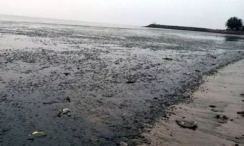 கோழிக்கோடு: கடல் நீர் உள்வாங்கியதால் சுனாமி அச்சம் நிலவிய நிலையில் இயல்பு நிலை திரும்பியது! கோழிக்கோடு: கடல் நீர் உள்வாங்கியதால் சுனாமி அச்சம் நிலவிய நிலையில் இயல்பு நிலை திரும்பியது!