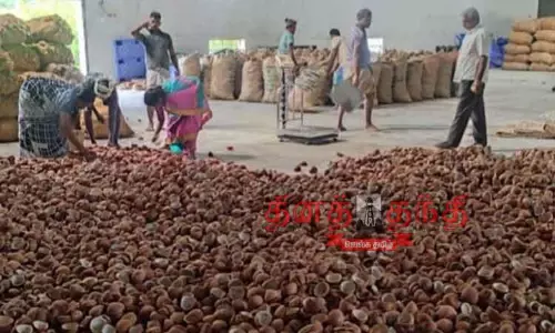 ரூ.27½ கோடிக்கு கொப்பரை கொள்முதல்