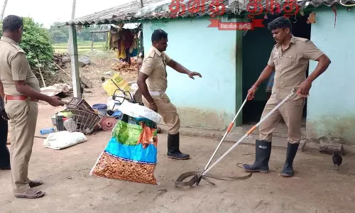 வீட்டுக்குள் புகுந்த பாம்பு பிடிபட்டது