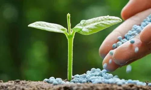 சான்றுகள் இல்லாமல் விதைகளை விற்பனை செய்தால் சட்டப்படி நடவடிக்கை சான்றுகள் இல்லாமல் விதைகளை விற்பனை செய்தால் சட்டப்படி நடவடிக்கை