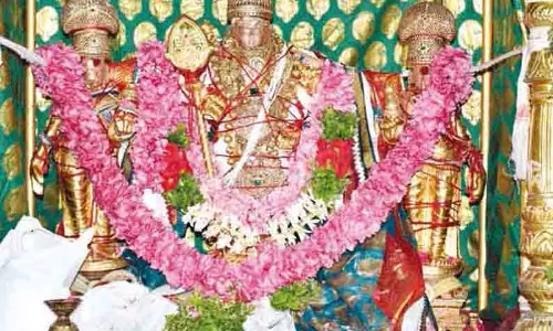 திருப்பத்தூர் முருகன் கோவிலில் திருக்கல்யாண திருப்பத்தூர் முருகன் கோவிலில் திருக்கல்யாண