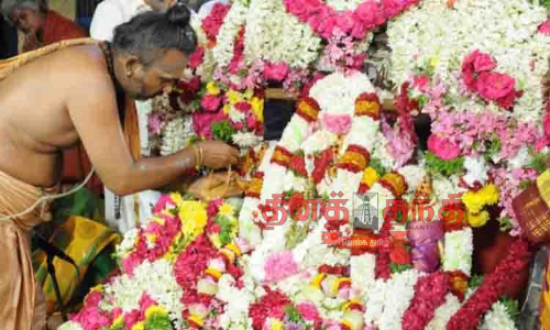 முருகன் கோவில்களில் திருக்கல்யாண உற்சவம் முருகன் கோவில்களில் திருக்கல்யாண உற்சவம்