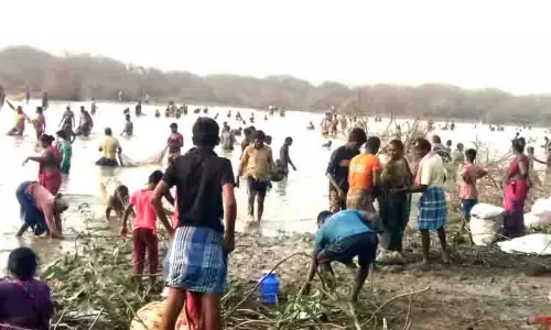 நீர்பழனி பெரியகுளத்தில் மீன்பிடி திருவிழா