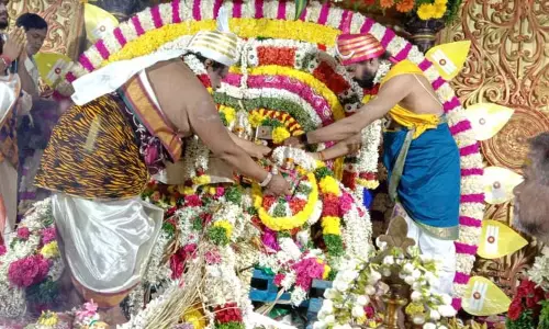 முருகன் கோவில்களில் திருக்கல்யாண உற்சவம் முருகன் கோவில்களில் திருக்கல்யாண உற்சவம்
