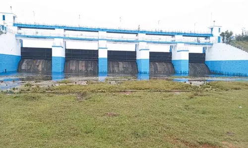 புதுப்பொலிவுடன் காட்சி தரும் செம்பரம்பாக்கம் ஏரி மதகுகள்