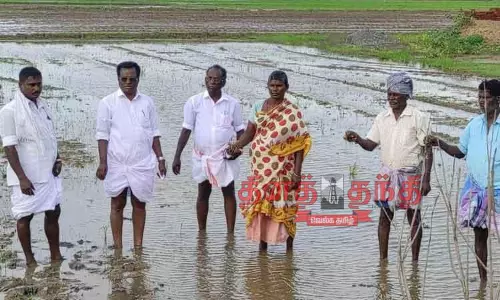 விளைநிலங்களில் கடல்நீர் புகுந்ததால் 800 ஏக்கர் நெற்பயிர்கள் பாதிப்பு