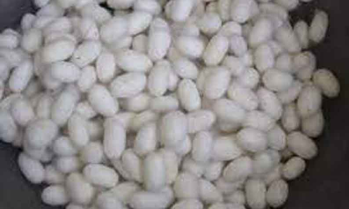 பட்டுக்கூடுகள் விலை அதிகரிப்பு