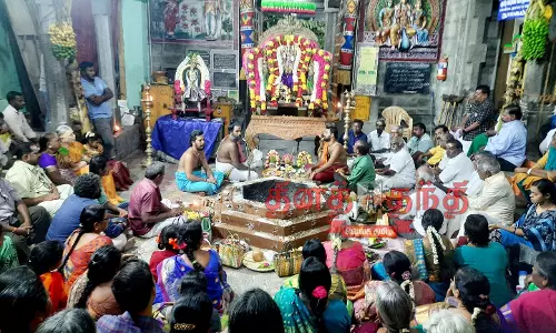 தெய்வானை திருக்கல்யாண உற்சவம் தெய்வானை திருக்கல்யாண உற்சவம்