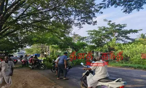 சாலையில் மரம் விழுந்து போக்குவரத்து பாதிப்பு