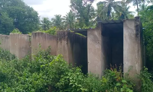 தினத்தந்தி புகார் பெட்டி தினத்தந்தி புகார் பெட்டி