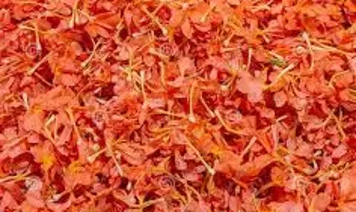 சத்தி மார்க்கெட்டில் கனகாம்பரம் கிலோ ரூ.1,100-க்கு ஏலம் சத்தி மார்க்கெட்டில் கனகாம்பரம் கிலோ ரூ.1,100-க்கு ஏலம்