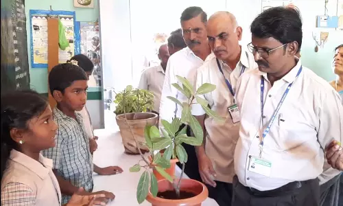 அரசு பள்ளியில் மூலிகை செடிகள் கண்காட்சி