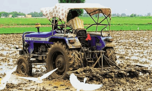 பருவமழை காலத்தில் பயிர்களை பாதுகாப்பது எப்படி?    விவசாயிகளுக்கு, வேளாண் விஞ்ஞானிகள் ஆலோசனை