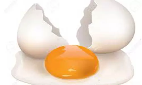 நாமக்கல் மண்டலத்தில்  முட்டை விலை 5 காசுகள் உயர்வு  515 காசுகளாக நிர்ணயம்