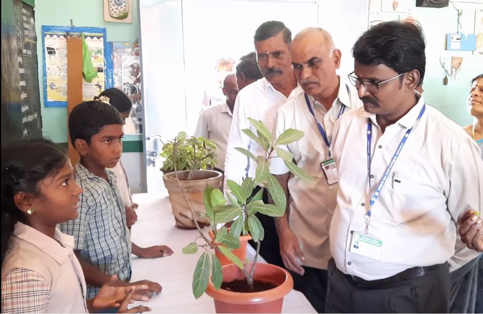 Exhibition of herbal plants அரசு பள்ளியில் மூலிகை செடிகள் கண்காட்சி