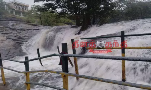 தொடர் மழை: கும்பக்கரை அருவியில் வெள்ளப்பெருக்கு - சுற்றுலா பயணிகள் குளிக்க தடை தொடர் மழை: கும்பக்கரை அருவியில் வெள்ளப்பெருக்கு - சுற்றுலா பயணிகள் குளிக்க தடை