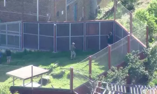 ஆஸ்திரேலியாவில் உயிரியல் பூங்காவில் இருந்து 5 சிங்கங்கள் தப்பியதால் பரபரப்பு ஆஸ்திரேலியாவில் உயிரியல் பூங்காவில் இருந்து 5 சிங்கங்கள் தப்பியதால் பரபரப்பு