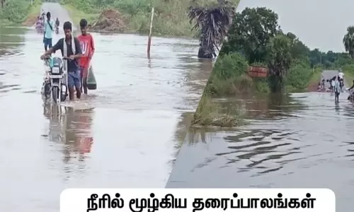 செங்கல்பட்டு அருகே நீரில் மூழ்கிய 2 தரைப்பாலங்கள்: 20க்கும் மேற்பட்ட கிராம மக்கள் பணிகளுக்கு செல்ல முடியாமல் தவிப்பு