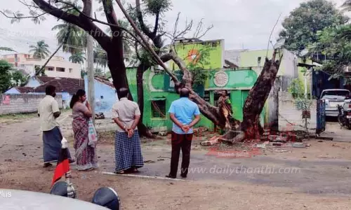 2 இடங்களில் மரம் விழுந்தது