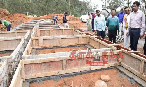 வளர்ச்சி பணிகளை கலெக்டர் ஆய்வு