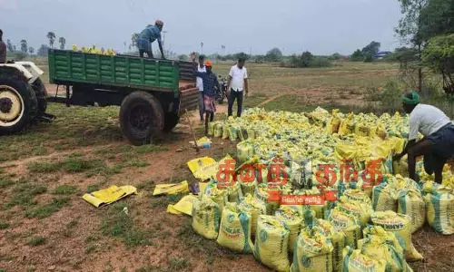 மழையால் குளங்களில் உடைப்பு ஏற்படுவதை தடுக்க மணல் மூட்டைகள் மழையால் குளங்களில் உடைப்பு ஏற்படுவதை தடுக்க மணல் மூட்டைகள்