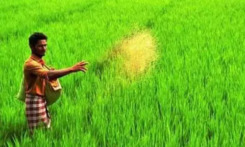 தனி நபரின் பயிர் சேதம் அடைந்தாலும் இழப்பீடு வழங்கும் வகையில் பயிர்க் காப்பீடு திட்டத்தில் மாற்றங்கள் செய்ய வேண்டும் என்று விவசாயிகள் கோரிக்கை விடுத்துள்ளனர். தனி நபரின் பயிர் சேதம் அடைந்தாலும் இழப்பீடு வழங்கும் வகையில் பயிர்க் காப்பீடு திட்டத்தில் மாற்றங்கள் செய்ய வேண்டும் என்று விவசாயிகள் கோரிக்கை விடுத்துள்ளனர்.