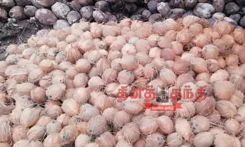பச்சை தேங்காய் விலை உயர்ந்தது பச்சை தேங்காய் விலை உயர்ந்தது