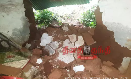 மரங்கள் விழுந்து போக்குவரத்து பாதிப்பு மரங்கள் விழுந்து போக்குவரத்து பாதிப்பு