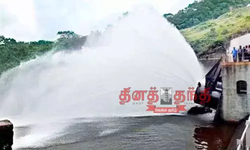 பிசான பருவ சாகுபடிக்கு பாபநாசம் அணையில் தண்ணீர் திறப்பு பிசான பருவ சாகுபடிக்கு பாபநாசம் அணையில் தண்ணீர் திறப்பு