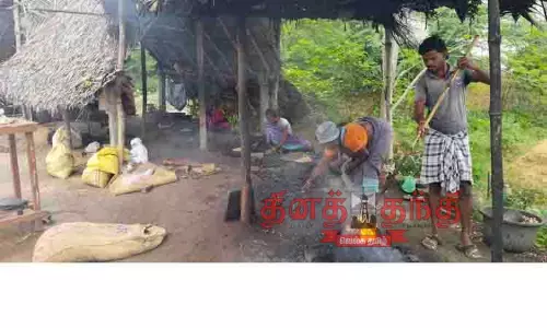 முந்திரி பருப்பு தொழில் மேம்படுத்தப்படுமா?