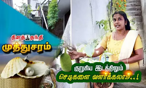 குறுகிய இடத்திலும் செடிகளை வளர்க்கலாம்..!