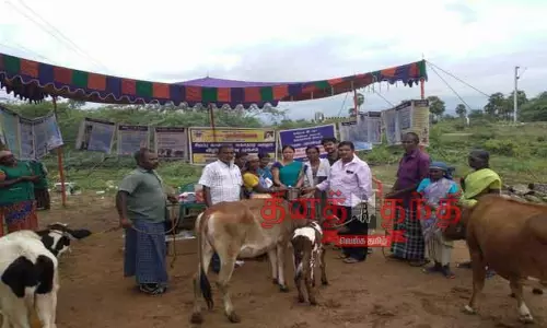 கால்நடை விழிப்புணர்வு முகாம்