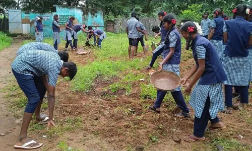 எரியோடு அருகே நாட்டு நலப்பணித்திட்ட முகாம் எரியோடு அருகே நாட்டு நலப்பணித்திட்ட முகாம்