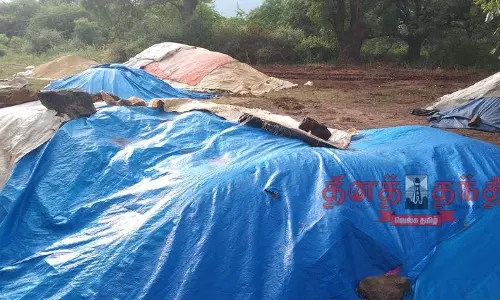 கூடலூரில் மழையில் நனைந்து வீணாகும் நெல்: கொள்முதல் நிலையத்திற்கு மின்வசதி ஏற்பாடு செய்ய கோரிக்கை கூடலூரில் மழையில் நனைந்து வீணாகும் நெல்: கொள்முதல் நிலையத்திற்கு மின்வசதி ஏற்பாடு செய்ய கோரிக்கை