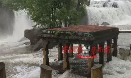 குமரியில் மழை நீடிப்பு: அணைகளில் இருந்து வினாடிக்கு 2,888 கனஅடி உபரி நீர் வெளியேற்றம் குமரியில் மழை நீடிப்பு: அணைகளில் இருந்து வினாடிக்கு 2,888 கனஅடி உபரி நீர் வெளியேற்றம்