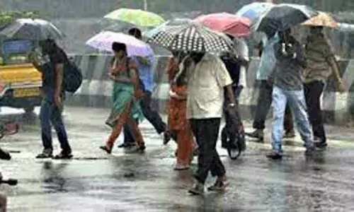 திருவண்ணாமலை மாவட்டத்தில் மழை திருவண்ணாமலை மாவட்டத்தில் மழை