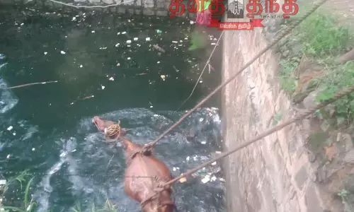 மயிலாடும்பாறை அருகே  கிணற்றில் தவறி விழுந்த பசு மீட்பு