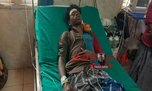 காட்டெருமை தாக்கி வாலிபர் படுகாயம்