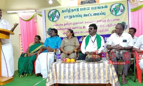1 லட்சம் பனை விதைகள் விதைக்கும் பணி