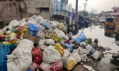 பழைய பஸ் நிலையத்தின் பரிதாப நிலை பழைய பஸ் நிலையத்தின் பரிதாப நிலை