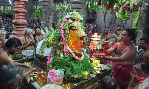 செண்பகவல்லி அம்மன் கோவிலில் சனி பிரதோஷ விழா