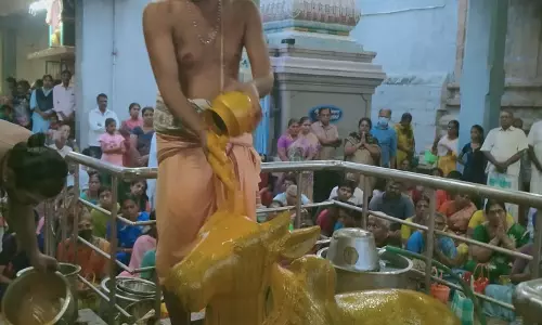 சனி பிரதோஷத்தையொட்டி  சிவன் கோவில்களில் சிறப்பு அபிஷேகம்