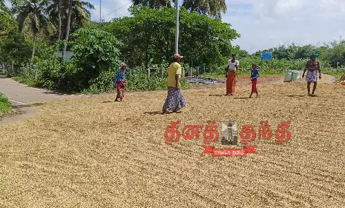 15 ஆயிரம் ஏக்கர் நெற்பயிர்கள் தண்ணீரில் மூழ்கின