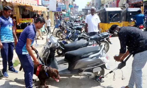 கடலூரில் வெடிகுண்டு நிபுணர்கள் தீவிர சோதனை கடலூரில் வெடிகுண்டு நிபுணர்கள் தீவிர சோதனை