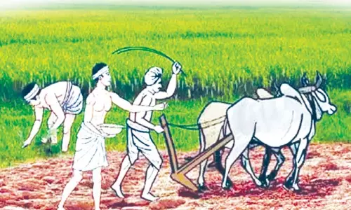 பயிர் காப்பீட்டு திட்டத்தில் இழப்பீடு கிடைக்காமல் தவிக்கும் விவசாயிகள் பயிர் காப்பீட்டு திட்டத்தில் இழப்பீடு கிடைக்காமல் தவிக்கும் விவசாயிகள்