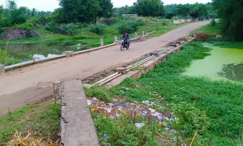 வாய்காலின் குறுக்கே தடுப்புகள் இல்லாத பாலம் வாய்காலின் குறுக்கே தடுப்புகள் இல்லாத பாலம்