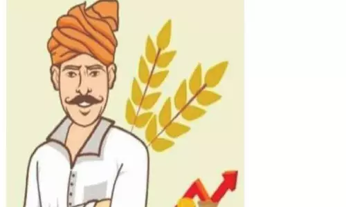 வேளாண் கருவிகளை வாடகைக்கு எடுக்க வசதி வேளாண் கருவிகளை வாடகைக்கு எடுக்க வசதி