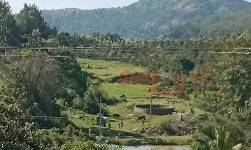 வத்தல்மலையில்  சுற்றுலா மேம்பாட்டு பணிகள் தொடங்கப்படுமா?  பொதுமக்கள் எதிர்பார்ப்பு